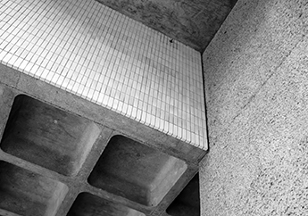 Acercamiento a la construcción de una losa nervada en azotea