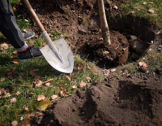 Un grupo de personas trabajando en el campo durante el dia